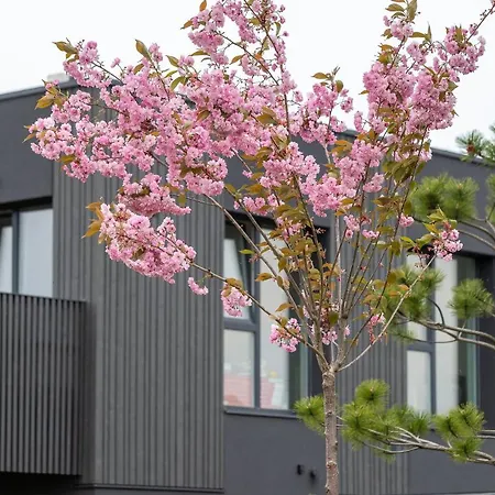 Mano Jura 3 Aqua Blue Apartment *